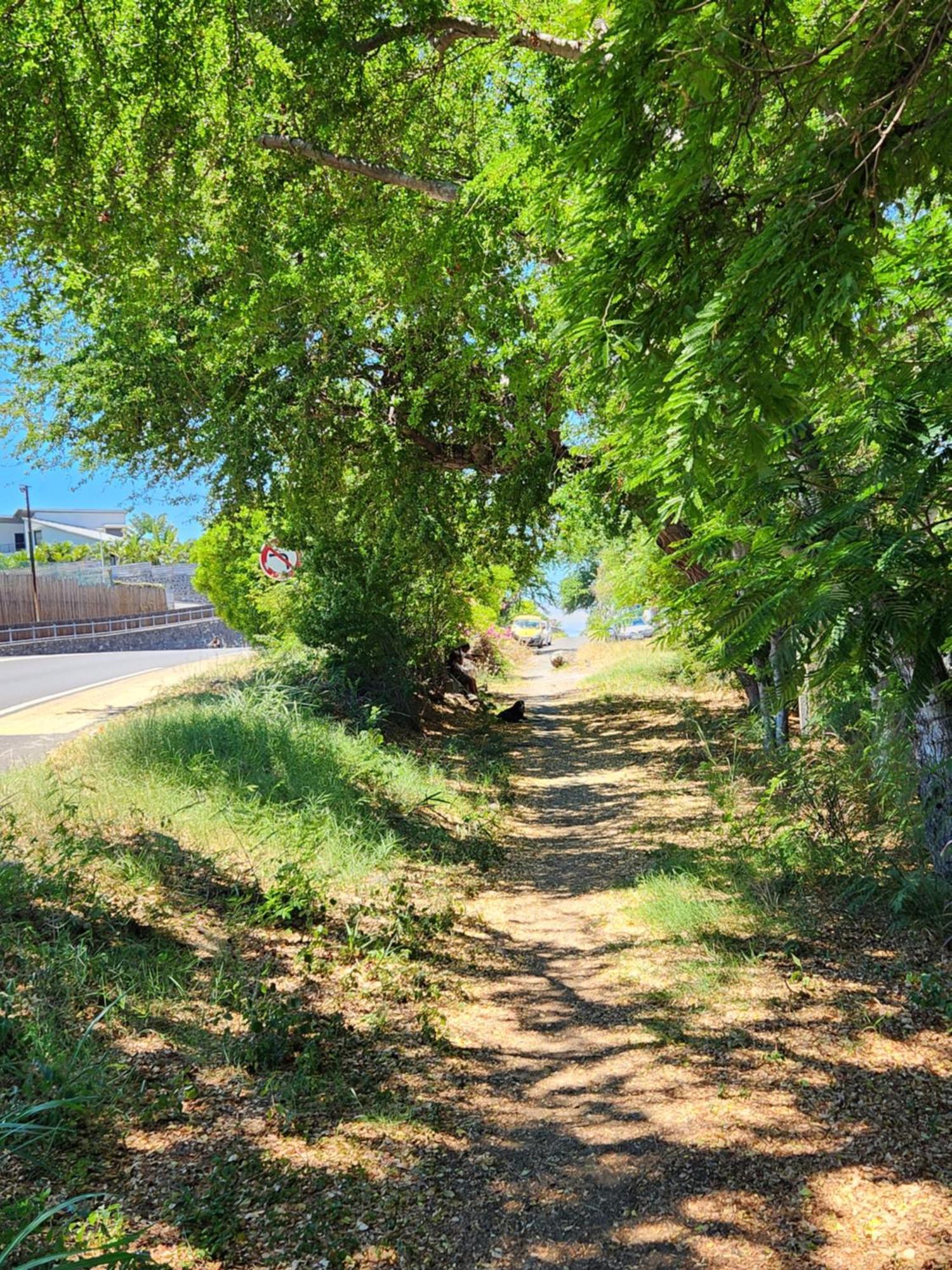 Cassiopee Apartment Saint-Gilles-les Bains Luaran gambar